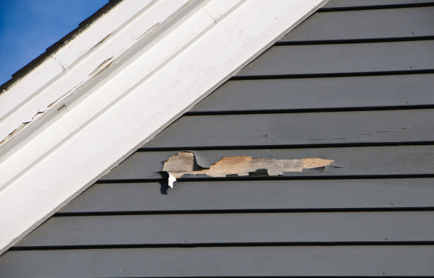 Best Same-Day Junk Removal Services  in Oak Hills, CA